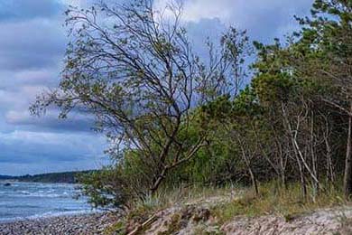 ouyi-欧易（OKX）官方App下载全指南，安全、便捷的交易第一步