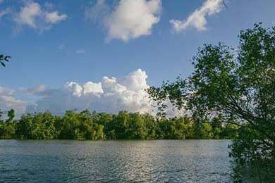 欧易okx安卓版-安卓用户必备，欧易OKX安卓版官方下载与安全安装完全指南